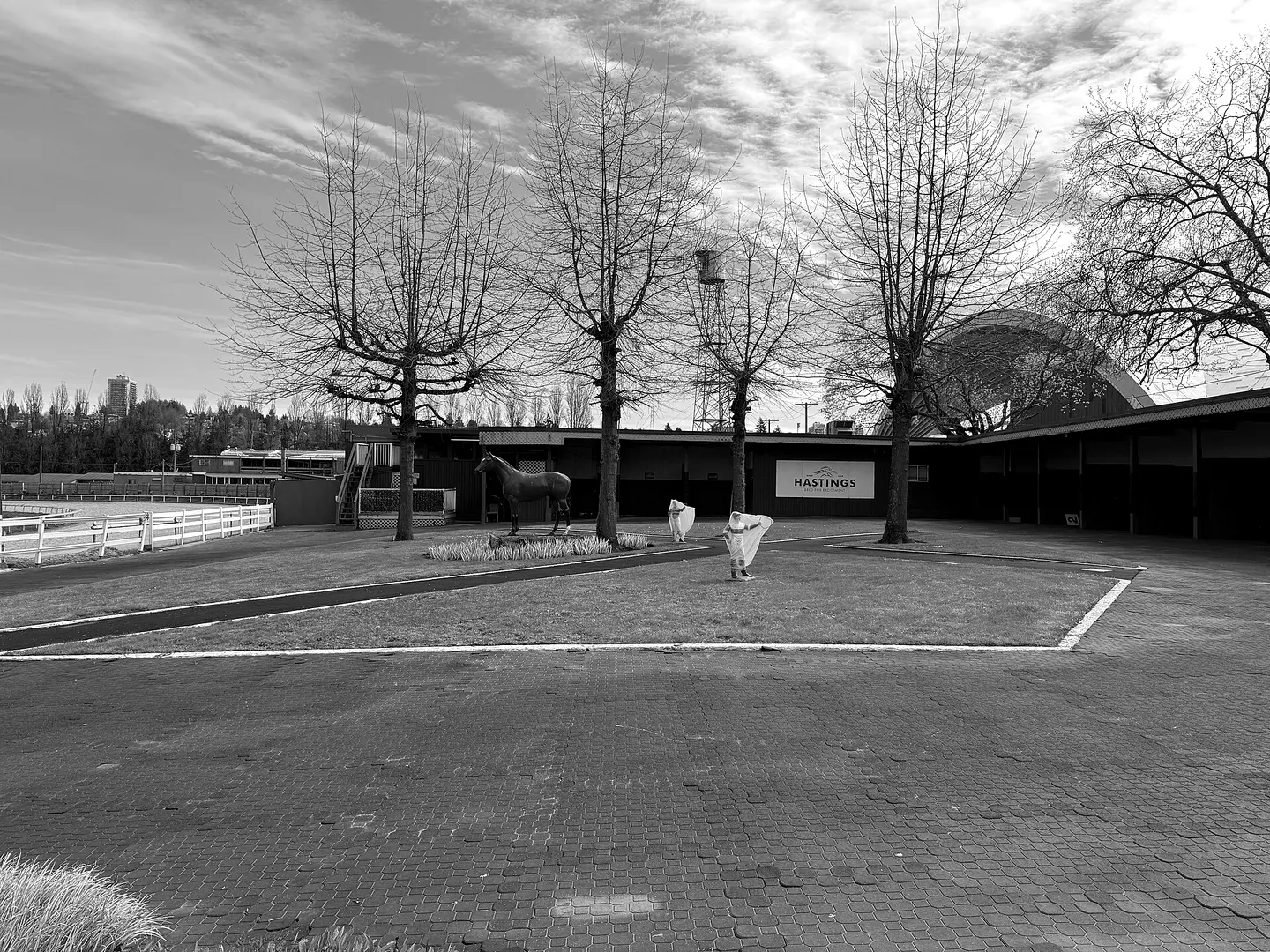 Paddock and stables at Hastings Racecourse